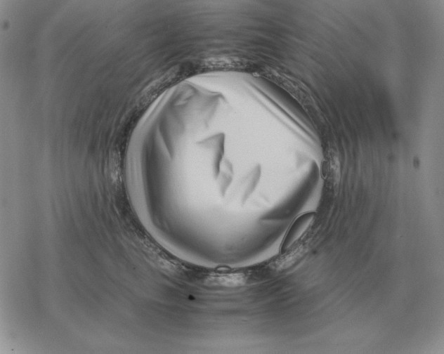 X0000077340665200611171834