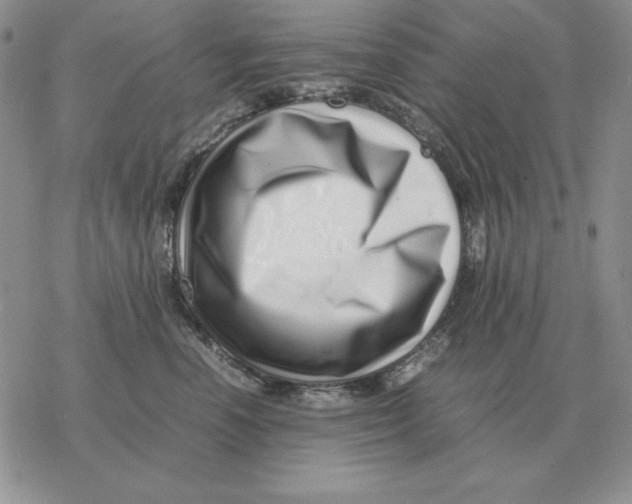X0000077340666200611171834
