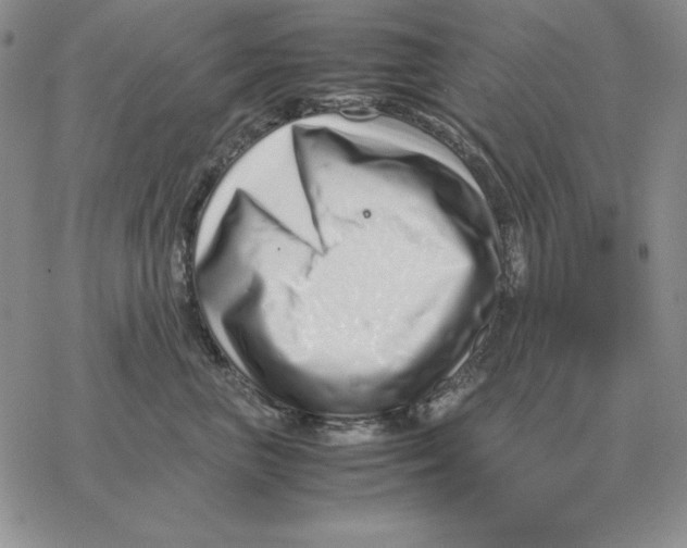 X0000077340667200611171834
