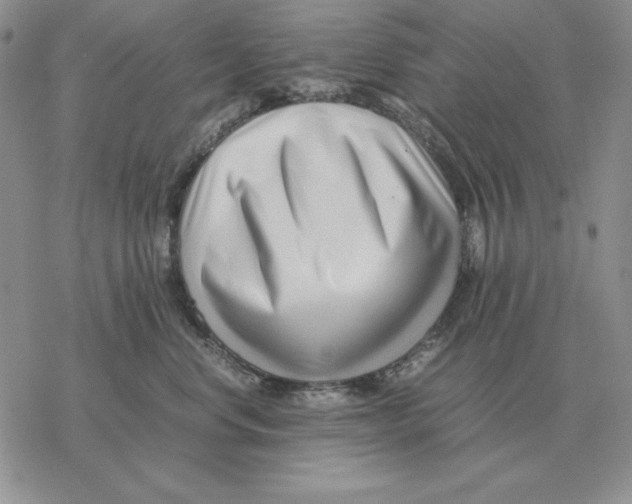 X0000077340668200611171834