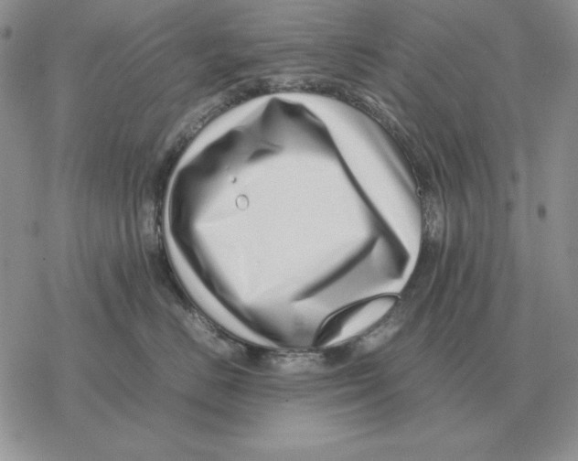 X0000077340670200611171834