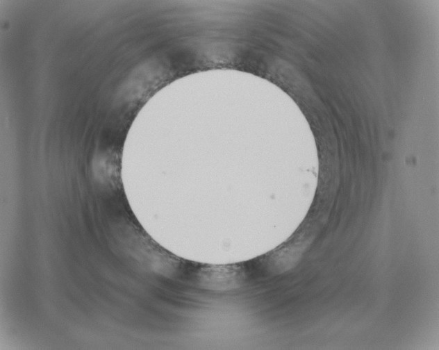 X0000077340672200611171834