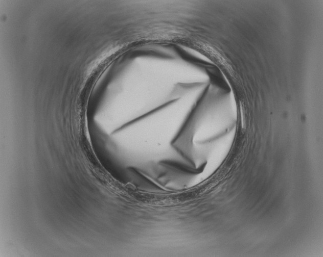 X0000077340675200611171833