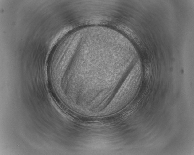 X0000077340678200611171833