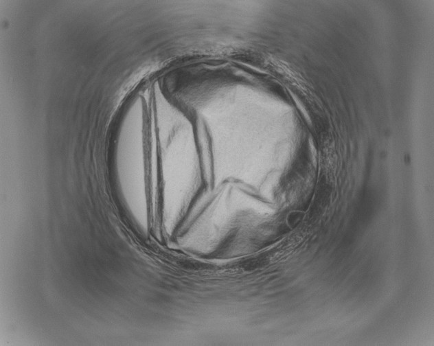 X0000077340679200611171833