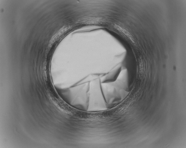 X0000077340682200611171833