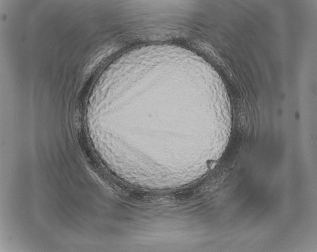 X0000077340683200611171833