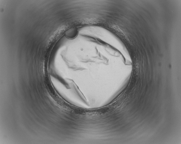 X0000077340686200611171833