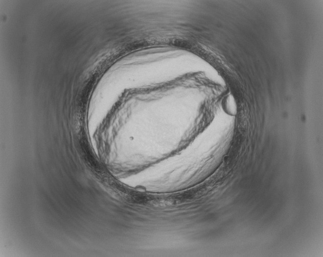 X0000077340687200611171833