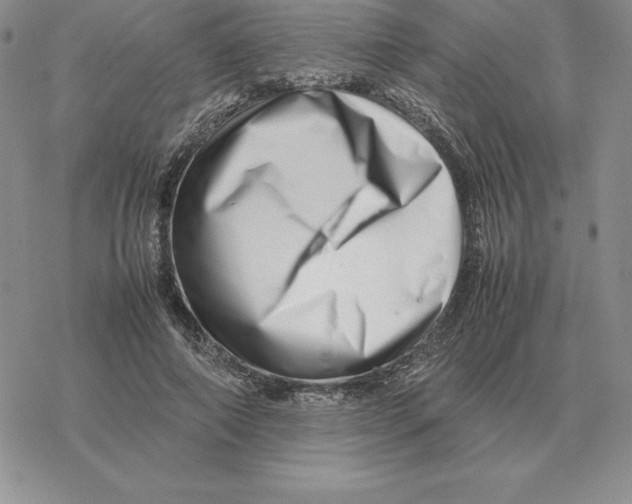 X0000077340690200611171833