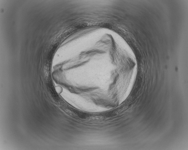 X0000077340691200611171833