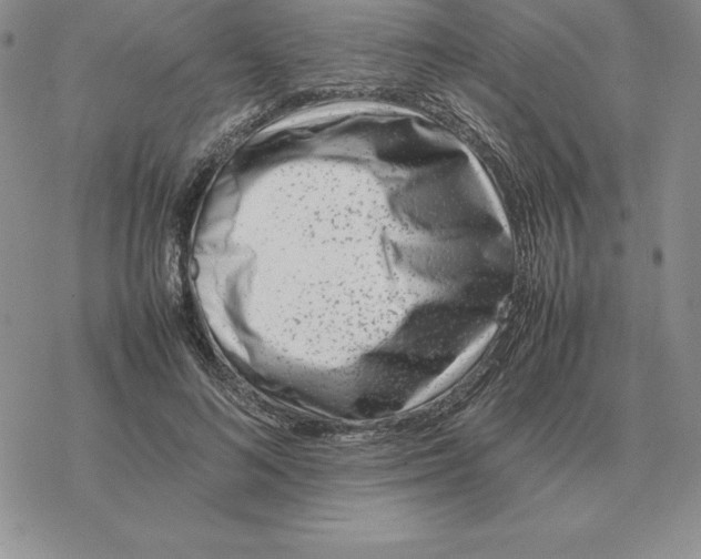 X0000077340692200611171833