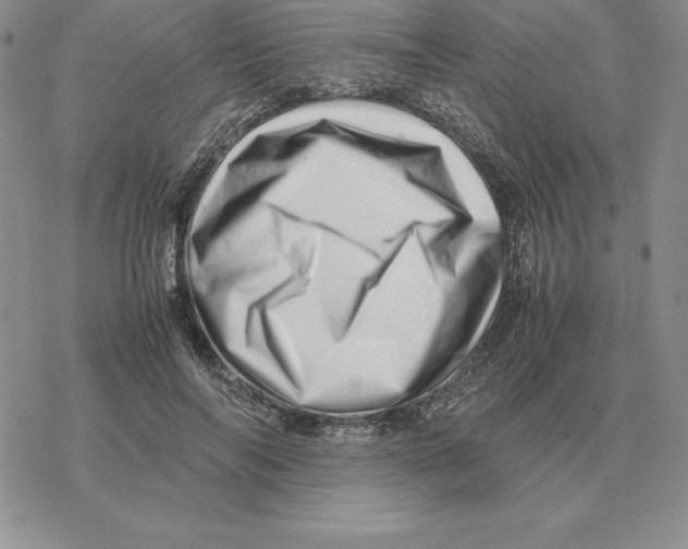 X0000077340694200611171833
