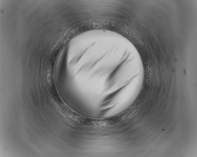 X0000077340698200611171833