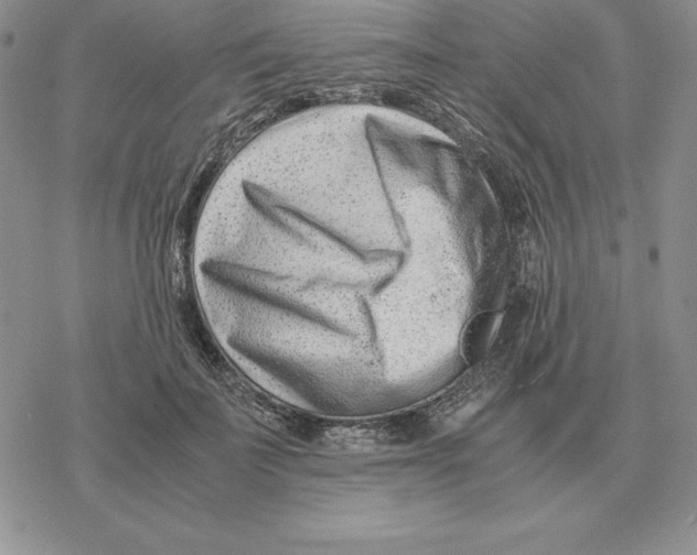 X0000077340699200611171833