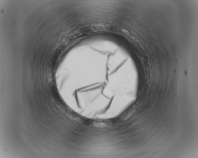 X0000077340706200611171833