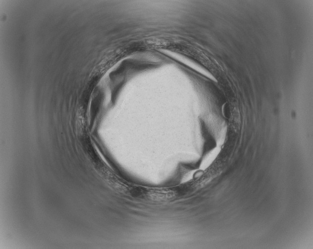 X0000077340707200611171833