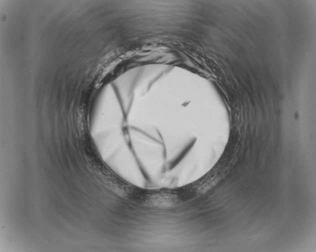 X0000077340708200611171833
