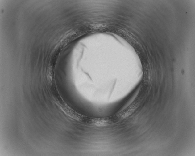 X0000077340710200611171833