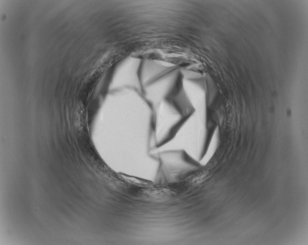 X0000077340712200611171832