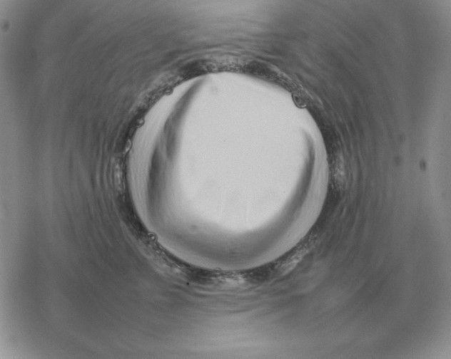 X0000077340715200611171832