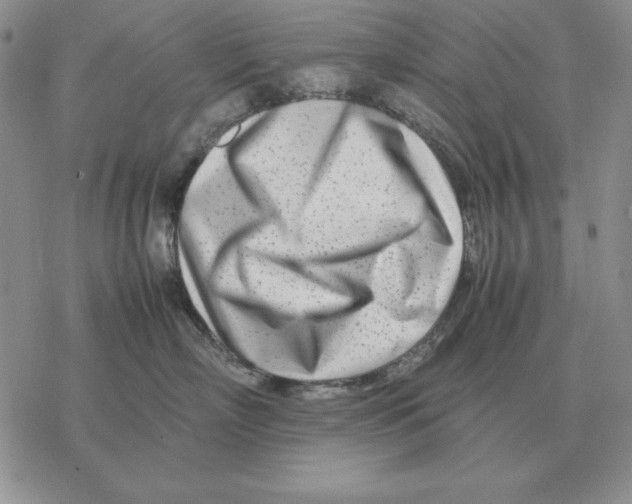 X0000077340718200611171832