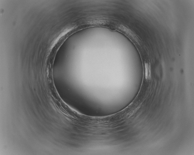 X0000077340723200611171832