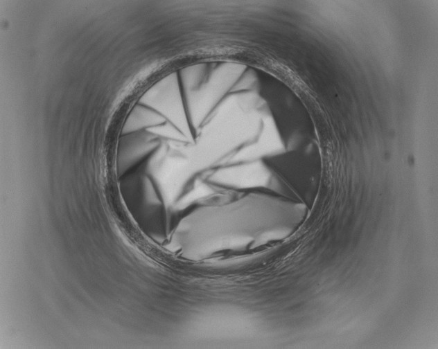 X0000077340726200611171832