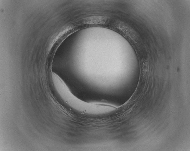 X0000077340727200611171832
