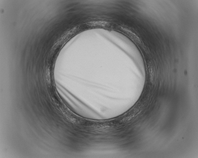 X0000077340729200611171832