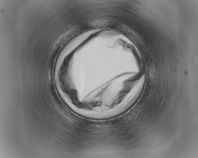 X0000077340733200611171832