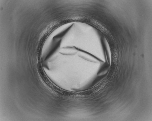 X0000077340734200611171832