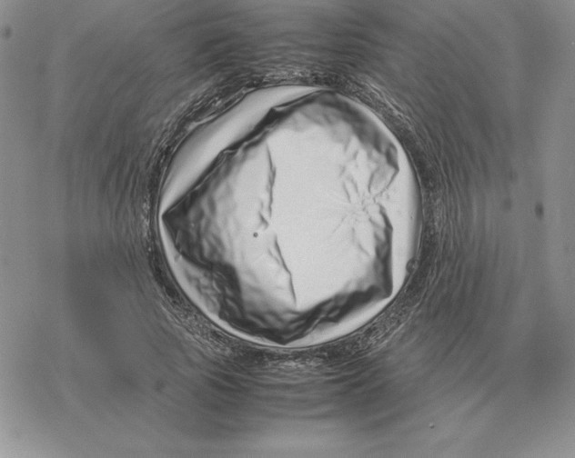 X0000077340737200611171832