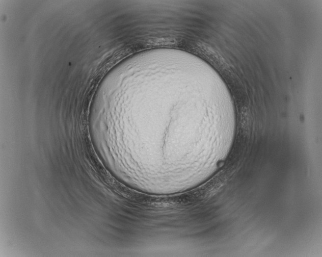 X0000077340741200611171832