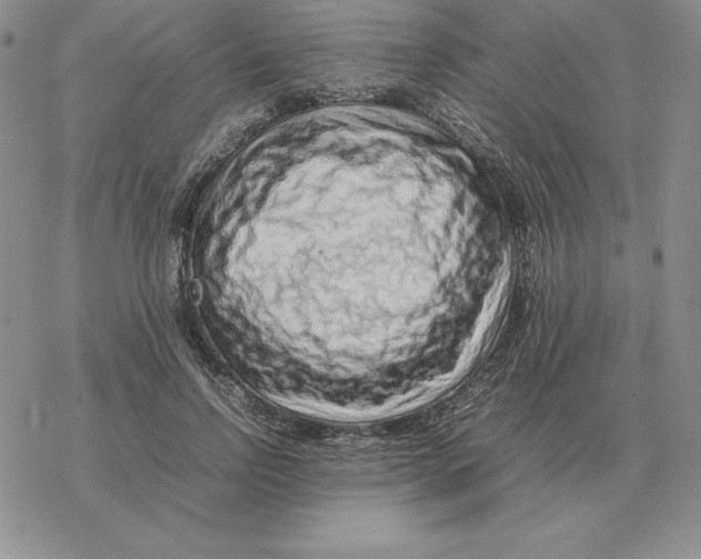 X0000077340742200611171832