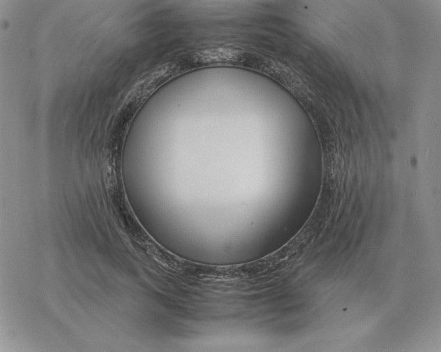 X0000077340743200611171832