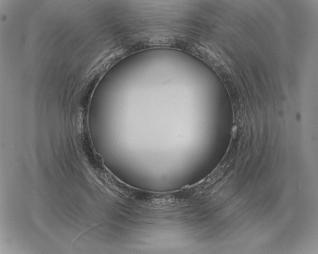 X0000077340744200611171832