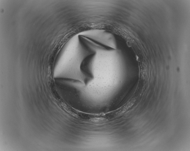 X0000077340748200611171832