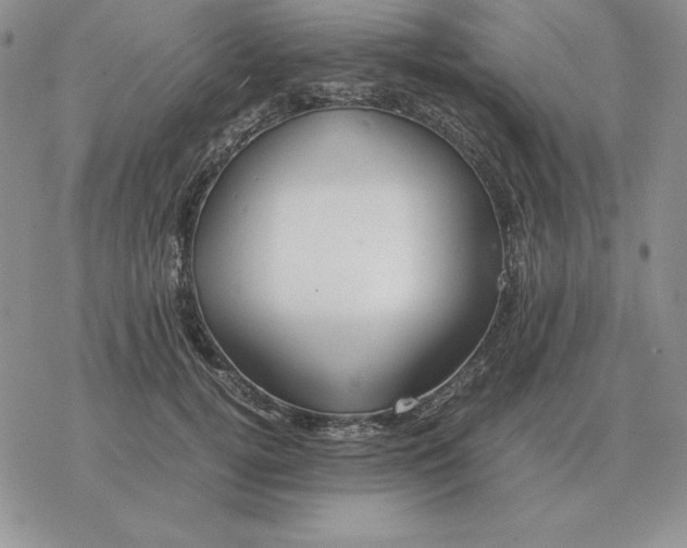 X0000077340752200611171832