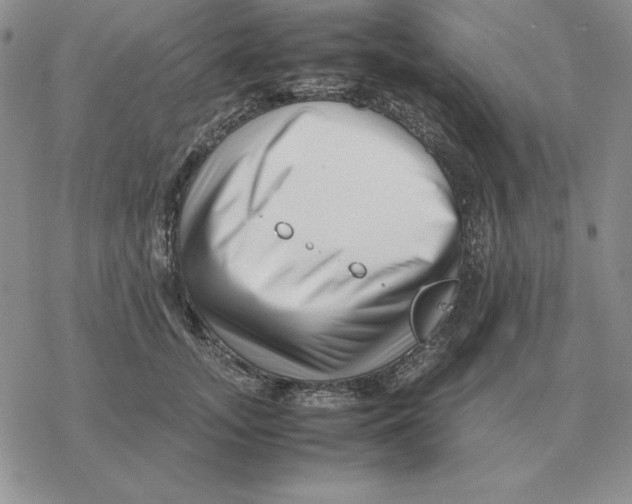 X0000077340755200611171832