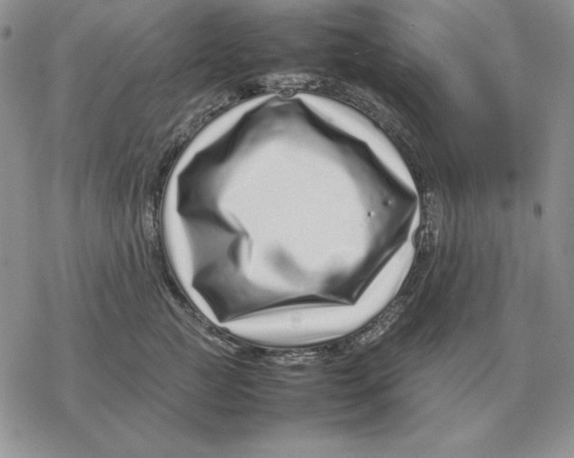 X0000077340761200611171832