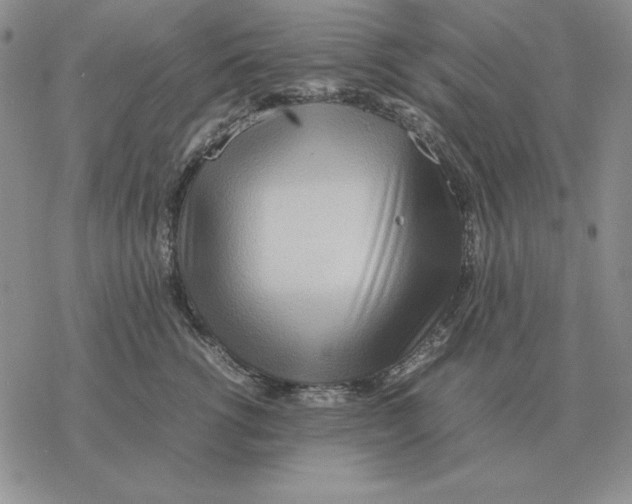 X0000077340762200611171832