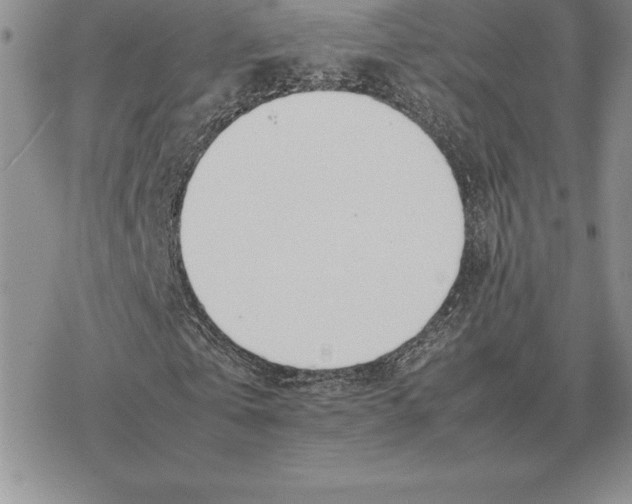 X0000077340769200611171832