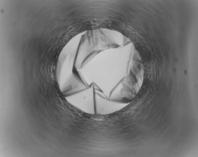 X0000077340770200611171832
