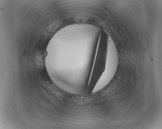 X0000077340772200611171832
