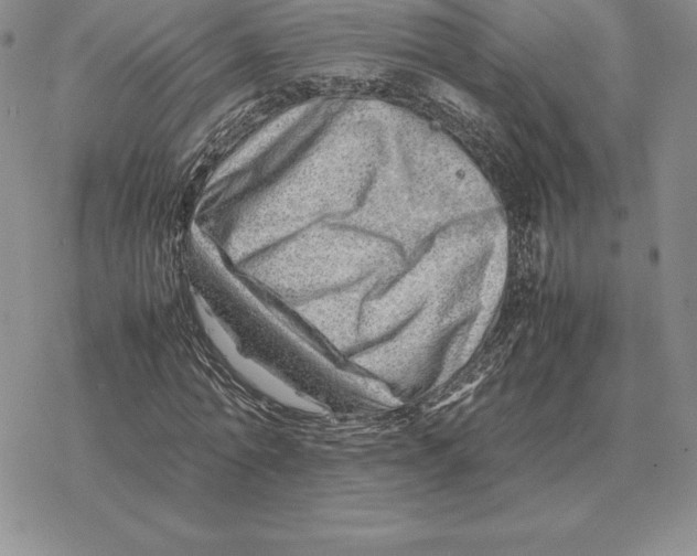 X0000077340774200611171831