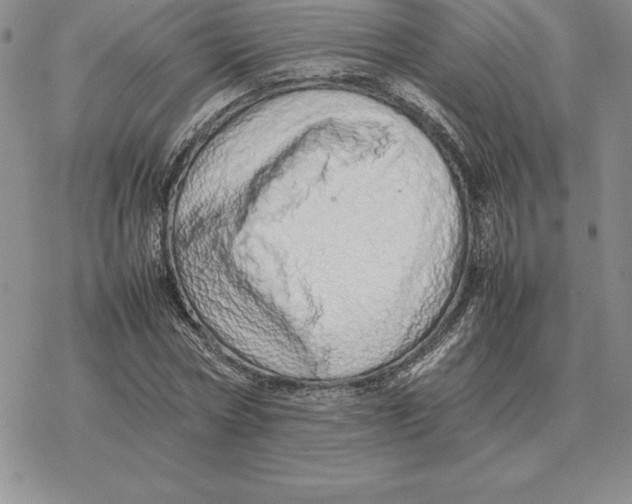 X0000077340778200611171831