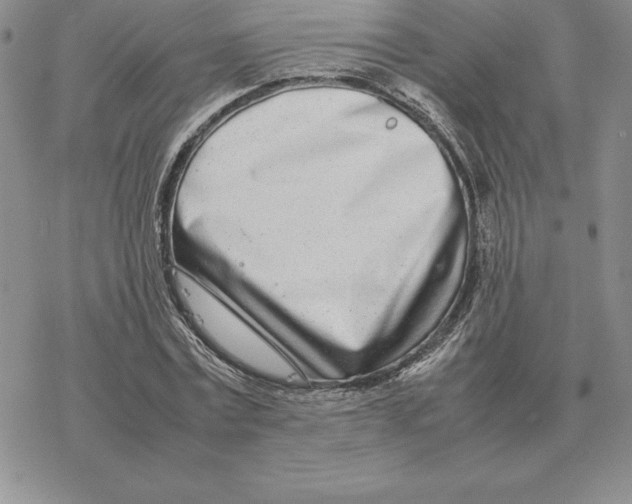 X0000077340779200611171831