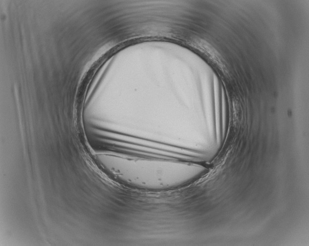 X0000077340780200611171831