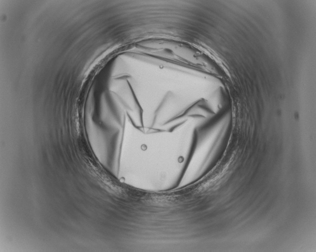 X0000077340782200611171831